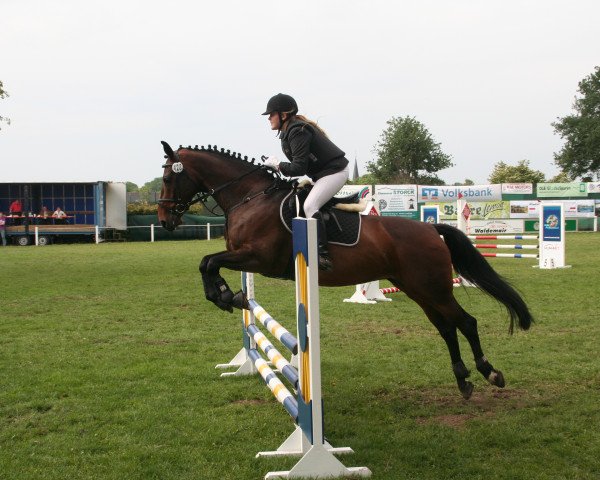 broodmare Lorana 16 (Oldenburg, 2004, from Lord Lennox)