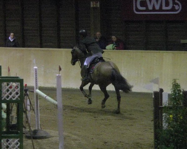 Reitturnier Mannheim-Neckarau 2018