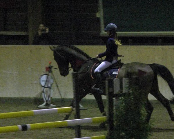 Reitturnier Mannheim-Neckarau 2018