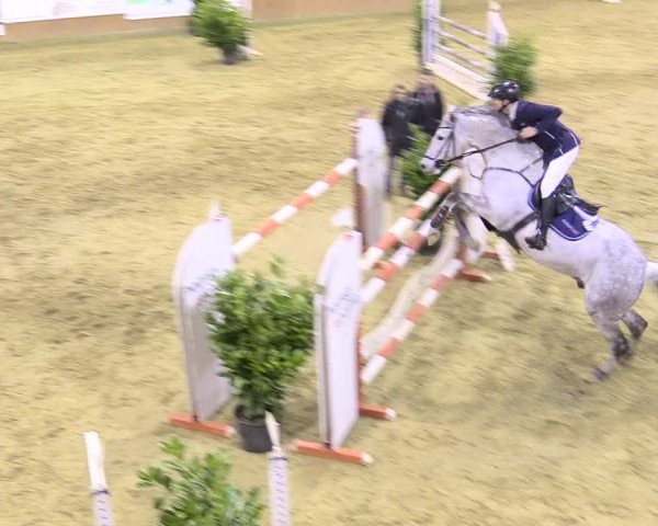 Reitturnier Seppenrade 2018