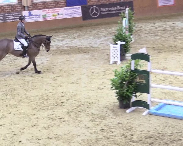 Reitturnier Seppenrade 2018