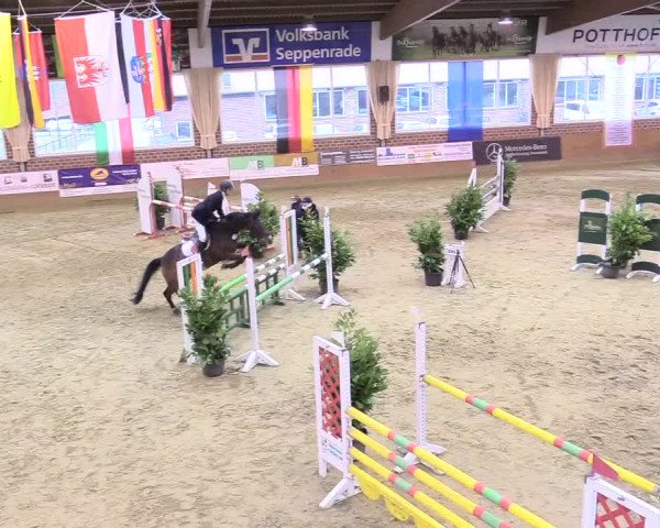 Reitturnier Seppenrade 2018