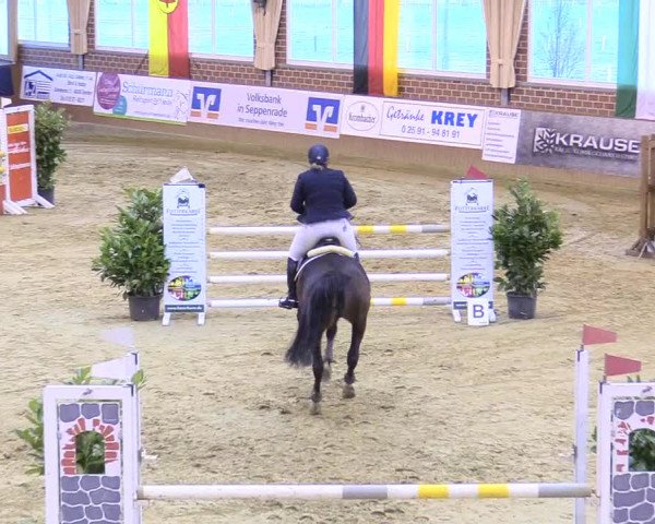 Reitturnier Seppenrade 2018
