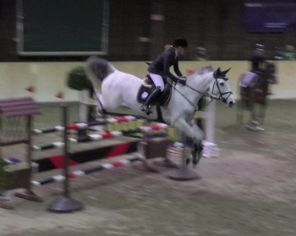 Reitturnier Mannheim-Neckarau 2018