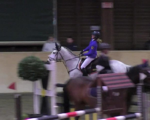 Reitturnier Mannheim-Neckarau 2018
