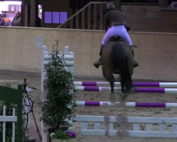 Reitturnier Mannheim-Neckarau 2018