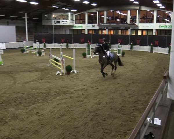 Reitturnier Münster-Handorf 2021