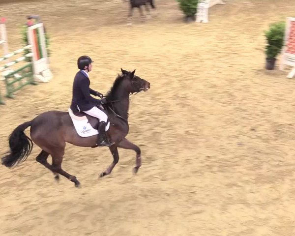 Reitturnier Seppenrade 2018