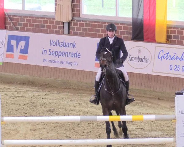 Reitturnier Seppenrade 2018