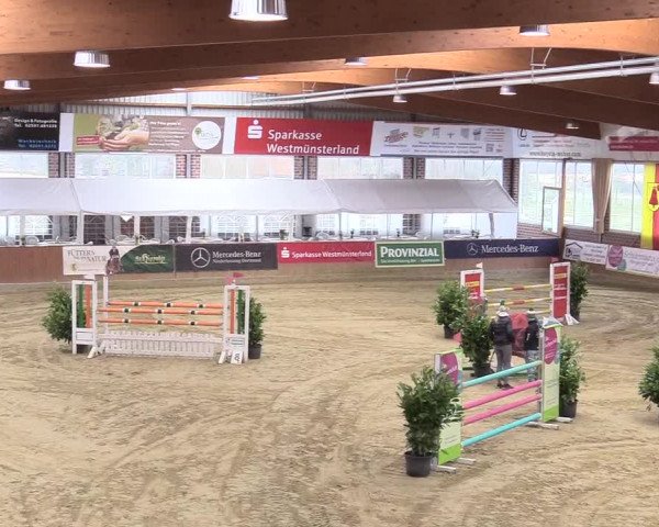 Reitturnier Seppenrade 2018