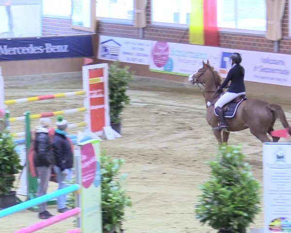 Reitturnier Seppenrade 2018