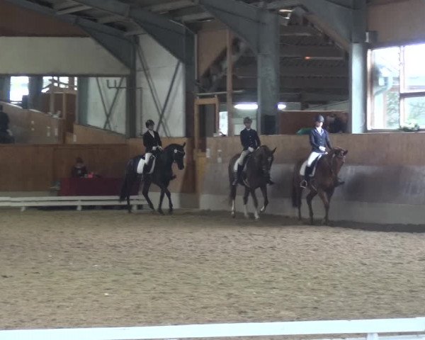 Reitturnier Mettmann - Reitanlage Löckenhoff 2018