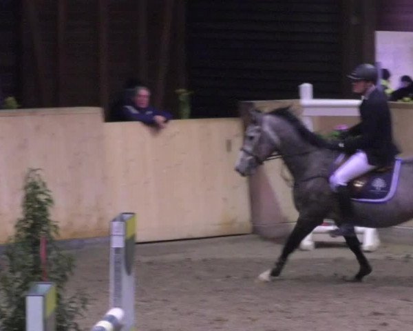 Reitturnier Mannheim-Neckarau 2018