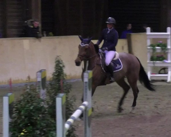 Reitturnier Mannheim-Neckarau 2018