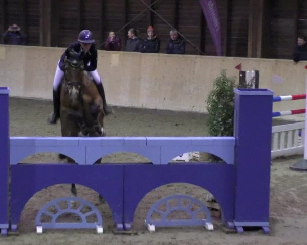 Reitturnier Mannheim-Neckarau 2018