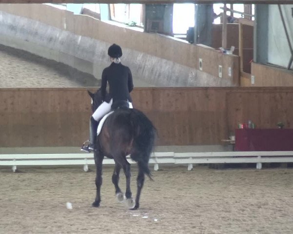 Reitturnier Mettmann - Reitanlage Löckenhoff 2018