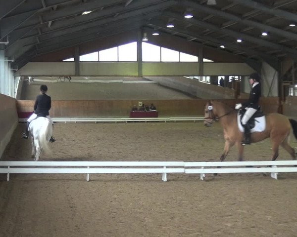 Reitturnier Mettmann - Reitanlage Löckenhoff 2018