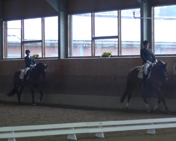 Reitturnier Mettmann - Reitanlage Löckenhoff 2018