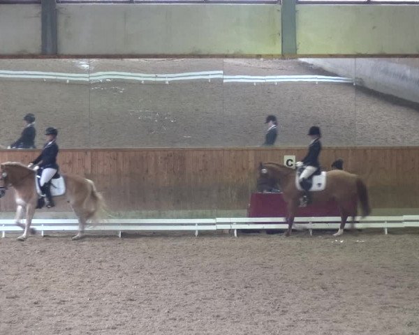 Reitturnier Mettmann - Reitanlage Löckenhoff 2018