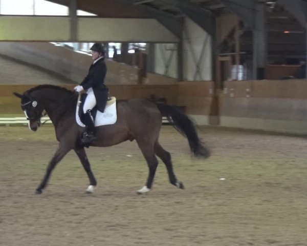 Reitturnier Mettmann - Reitanlage Löckenhoff 2018