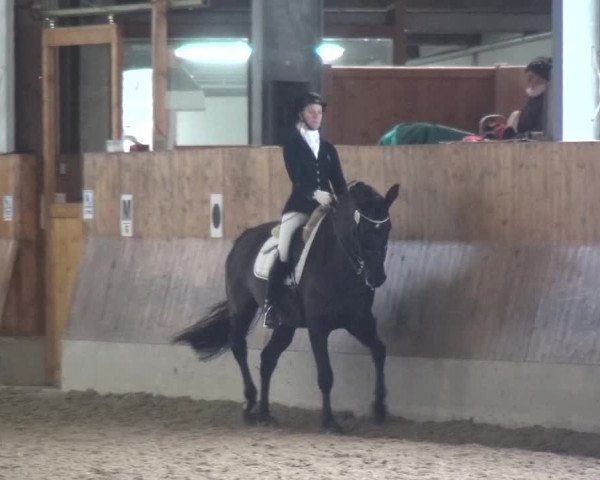 Reitturnier Mettmann - Reitanlage Löckenhoff 2018