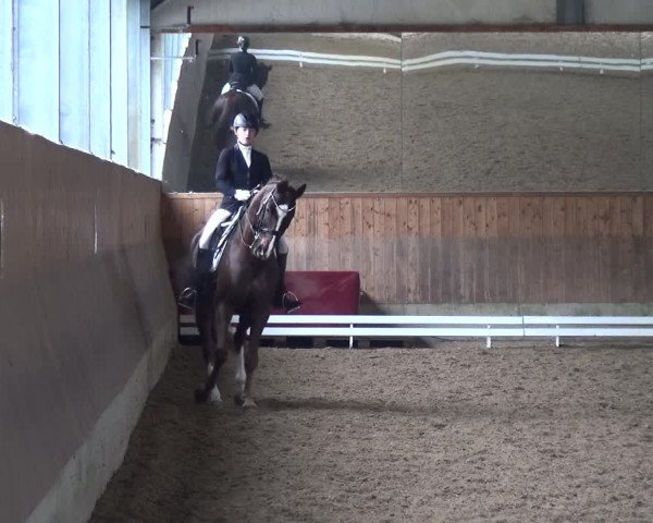 Reitturnier Mettmann - Reitanlage Löckenhoff 2018