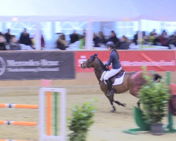 Reitturnier Seppenrade 2018