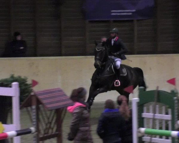 Reitturnier Mannheim-Neckarau 2018