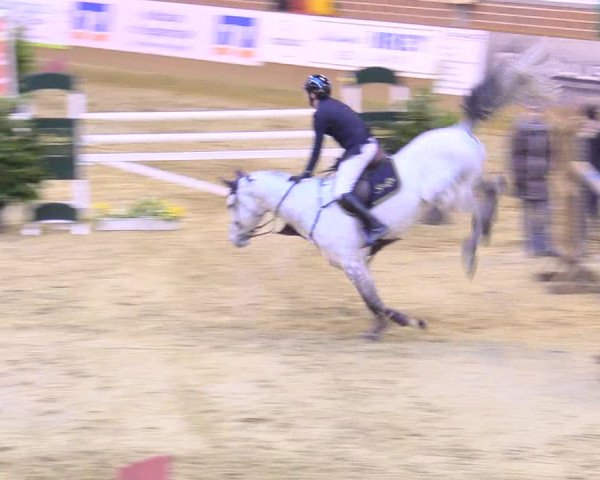 Reitturnier Seppenrade 2018