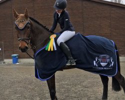 jumper Honey 111 (KWPN (Royal Dutch Sporthorse), 2012, from Quasimodo Z)