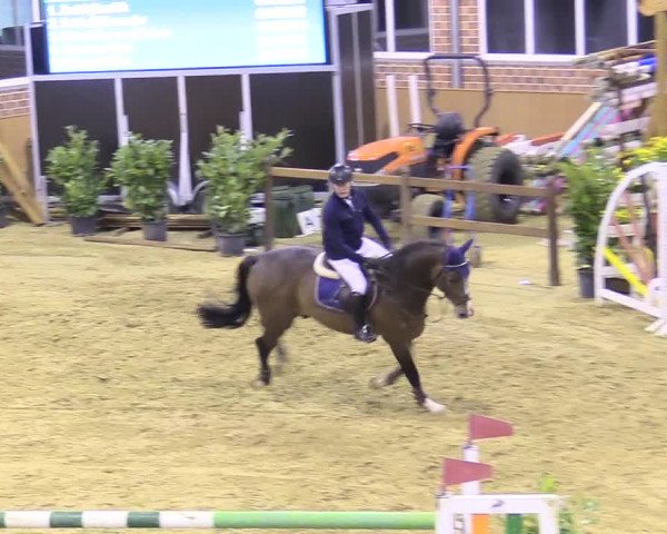 Reitturnier Seppenrade 2018