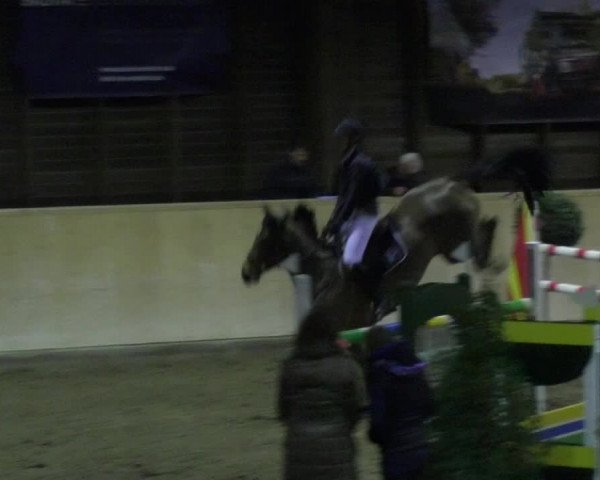 Reitturnier Mannheim-Neckarau 2018