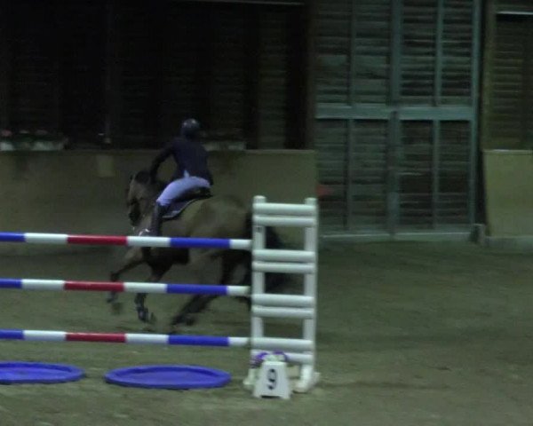 Reitturnier Mannheim-Neckarau 2018