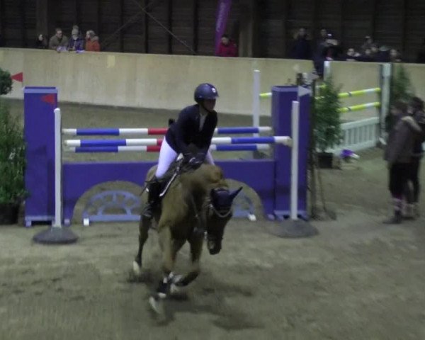 Reitturnier Mannheim-Neckarau 2018