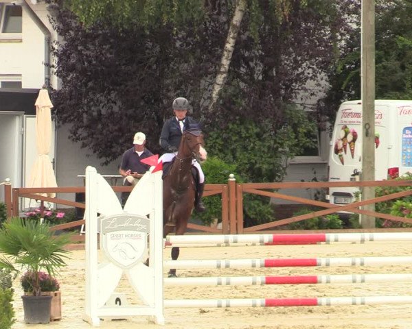 Equus Colonius - Reitanlage Brüse Köln 2021