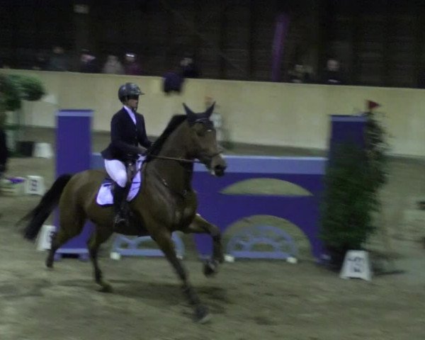 Reitturnier Mannheim-Neckarau 2018