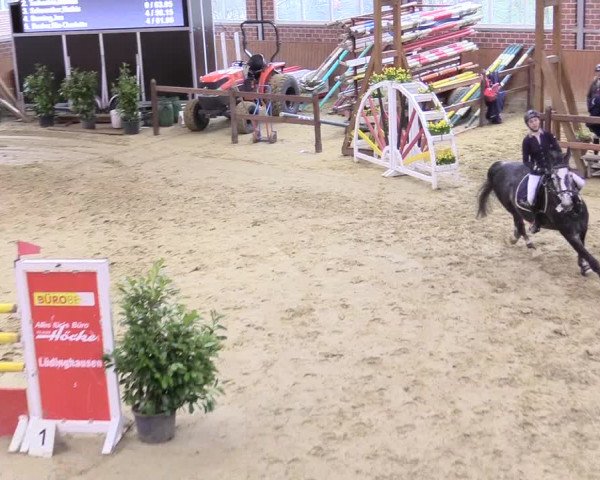 Reitturnier Seppenrade 2018