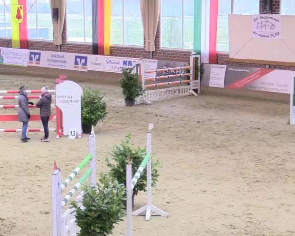 Reitturnier Seppenrade 2018