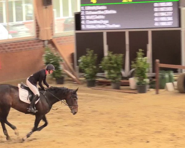 Reitturnier Seppenrade 2018
