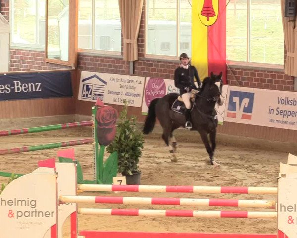 Reitturnier Seppenrade 2018