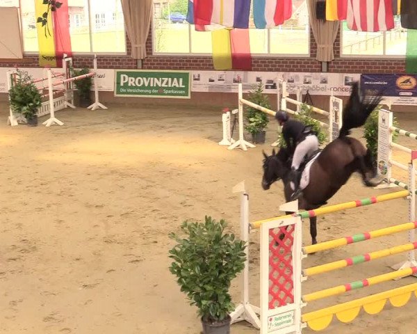 Reitturnier Seppenrade 2018