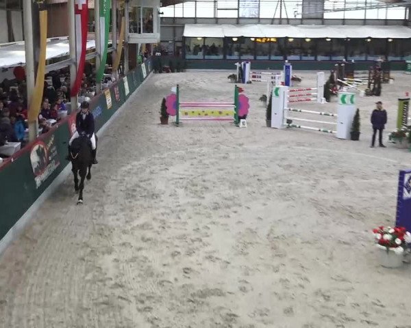 Hallenspringen Oberriet 2018