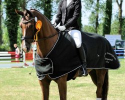 broodmare Shania 30 (Oldenburg, 2009, from Sarkozy 3)