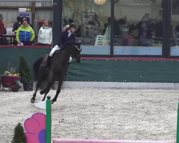 Hallenspringen Oberriet 2018