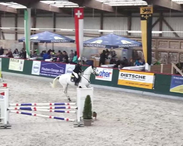 Hallenspringen Oberriet 2018