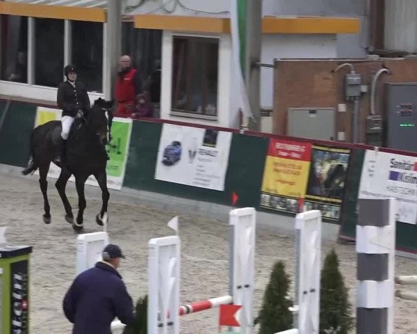 Hallenspringen Oberriet 2018
