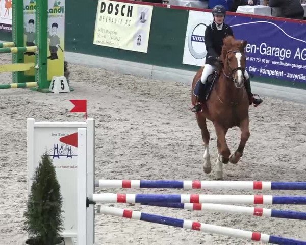 Hallenspringen Oberriet 2018