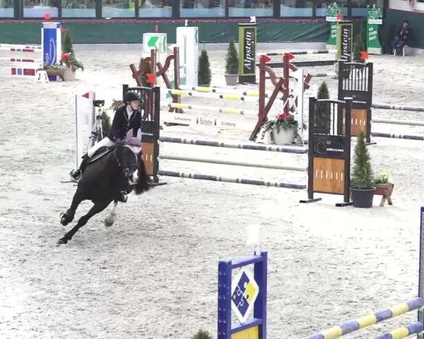 Hallenspringen Oberriet 2018