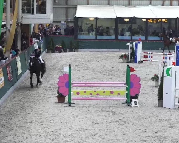 Hallenspringen Oberriet 2018