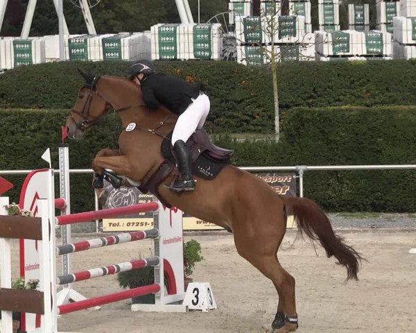 Reitturnier Durmersheim-Hardt 2021